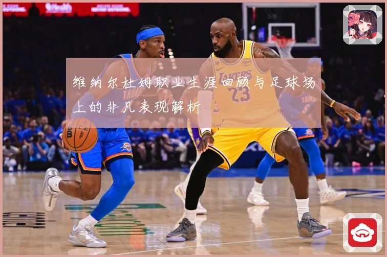 维纳尔杜姆职业生涯回顾与足球场上的非凡表现解析