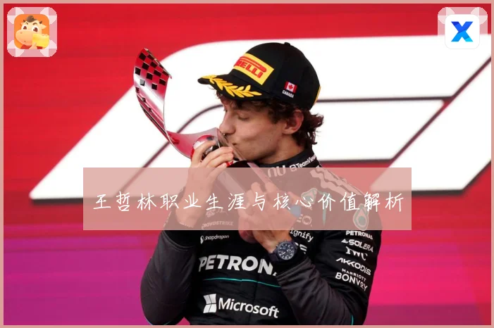 王哲林职业生涯与核心价值解析