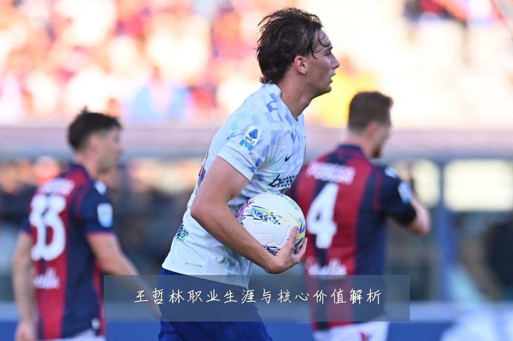 王哲林职业生涯与核心价值解析