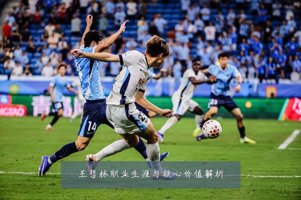 王哲林职业生涯与核心价值解析